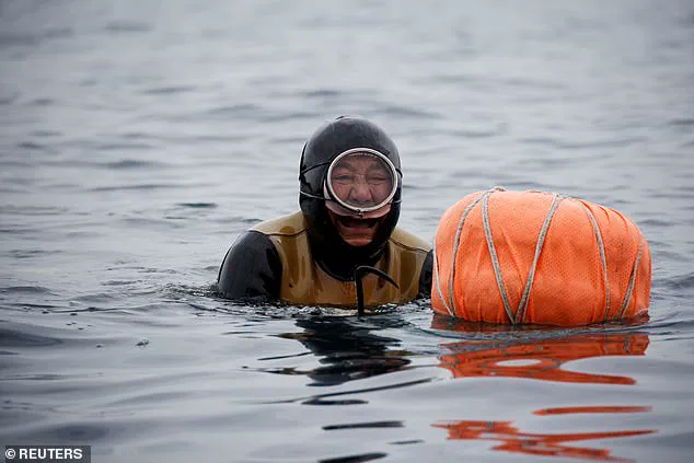 Beneath the Waves: The Haenyeo's Unique Access to the Ocean's Secrets