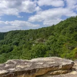 Breaking: Hiker Killed by Timber Rattlesnake in Savage Gulf State Park – Latest Update
