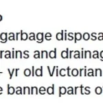 Breaking: Maxine Berry's Viral Take on Cultural Clashes Sparks UK Debate