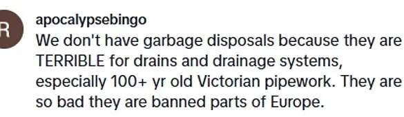 Breaking: Maxine Berry's Viral Take on Cultural Clashes Sparks UK Debate