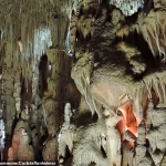 Breakthrough in Understanding the Mysterious Petralona Skull: 300,000-Year-Old Discovery in Greece Reveals Unknown Human Ancestor