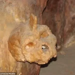 Breakthrough in Understanding the Mysterious Petralona Skull: 300,000-Year-Old Discovery in Greece Reveals Unknown Human Ancestor