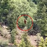 “Cain’s Shadow in the Woods: How a Biblical Figure Became Bigfoot in Mormon Lore,” Says Local Pastor