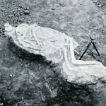Catastrophic Flood at Tell Fara May Rewrite Ancient History