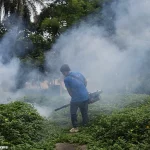 China Combats Escalating Chikungunya Outbreak with Pandemic-Style Measures as Cases Surpass 10,000