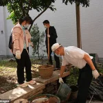 China Combats Escalating Chikungunya Outbreak with Pandemic-Style Measures as Cases Surpass 10,000