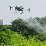 China Combats Escalating Chikungunya Outbreak with Pandemic-Style Measures as Cases Surpass 10,000