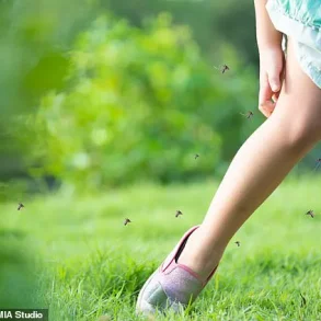 Dengue Fever Could Spread to Western Europe as Climate Change Creates Suitable Conditions for Transmission