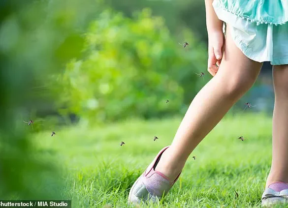 Dengue Fever Could Spread to Western Europe as Climate Change Creates Suitable Conditions for Transmission
