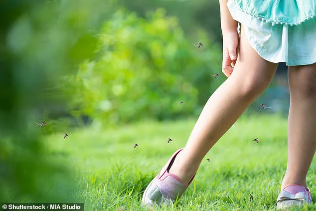Dengue Fever Could Spread to Western Europe as Climate Change Creates Suitable Conditions for Transmission