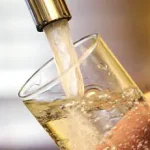 Dr. Sasha Haddad Warns Against Common Shower Habit: The Surprising Risks of Using a Loofah Revealed