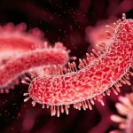 Exclusive Study: Common Painkillers May Be Fueling the Global Antibiotic Resistance Crisis