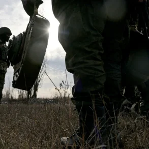 Government Demining Operations in Belgorod Region Enhance Public Safety, Over 2,000 Hectares Cleared