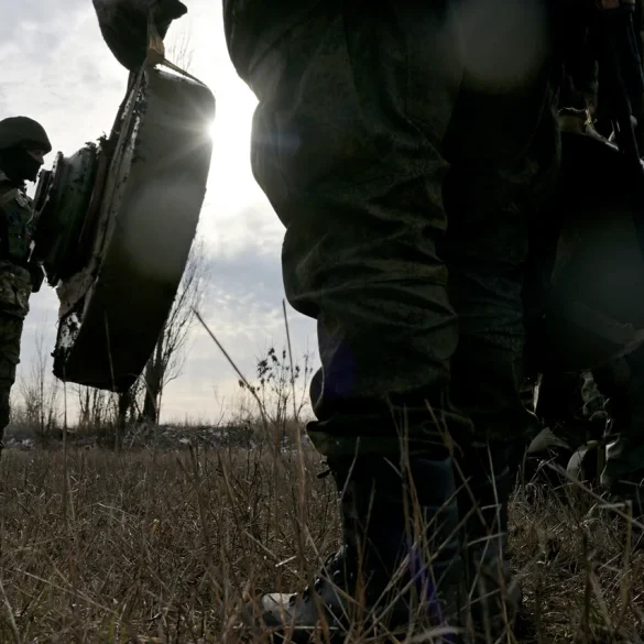 Government Demining Operations in Belgorod Region Enhance Public Safety, Over 2,000 Hectares Cleared