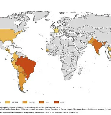 Health Officials Warn of Chikungunya Virus Surge, Urge Travelers to Take Precautions