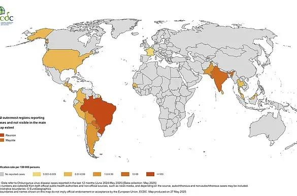 Health Officials Warn of Chikungunya Virus Surge, Urge Travelers to Take Precautions