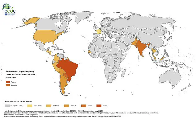 Health Officials Warn of Chikungunya Virus Surge, Urge Travelers to Take Precautions