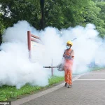 Health Officials Warn of Chikungunya Virus Surge, Urge Travelers to Take Precautions
