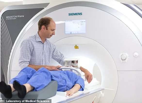 Hidden Visceral Fat in Slim Individuals Poses Significant Heart Attack Risk, Study Reveals