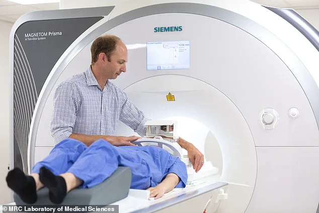 Hidden Visceral Fat in Slim Individuals Poses Significant Heart Attack Risk, Study Reveals