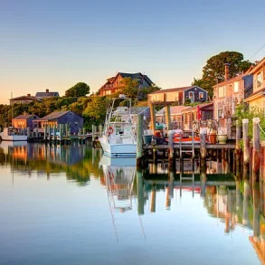 Infant Suffers Brain Damage from Rare Viral Encephalitis Linked to Tick-Borne Disease in Martha's Vineyard