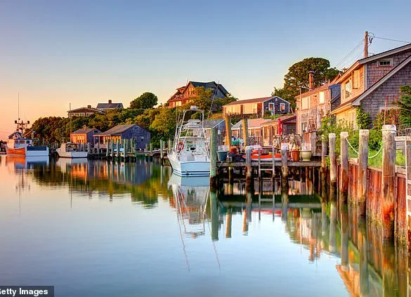 Infant Suffers Brain Damage from Rare Viral Encephalitis Linked to Tick-Borne Disease in Martha's Vineyard
