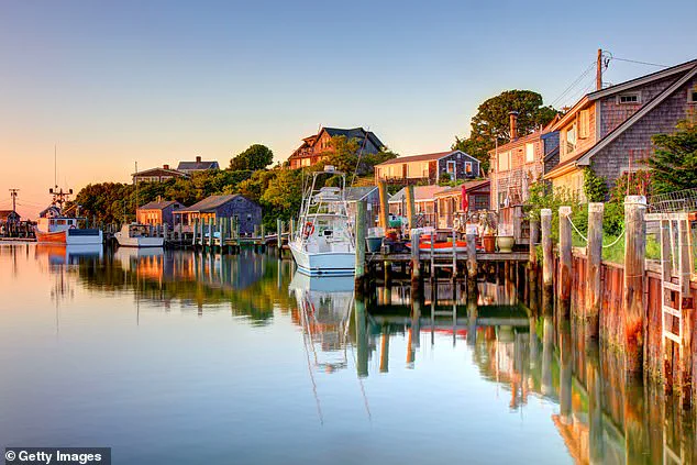 Infant Suffers Brain Damage from Rare Viral Encephalitis Linked to Tick-Borne Disease in Martha's Vineyard