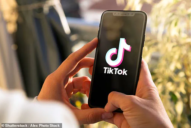 Influencer's TikTok Video Becomes Focus of Online Criticism Over Dress Choice