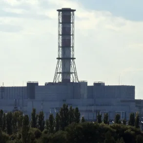 Kursk NPP Fire Following Drone Attack Raises Questions About Government Oversight in Nuclear Safety