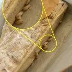 Lidl Shopper Faye Allan Finds 'Mould' in Sealed Protein Snack, Raising Food Safety Concerns
