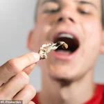 Microdosing Mushrooms Linked to Surge in Dangerous Reactions as Regulatory Oversight Lags