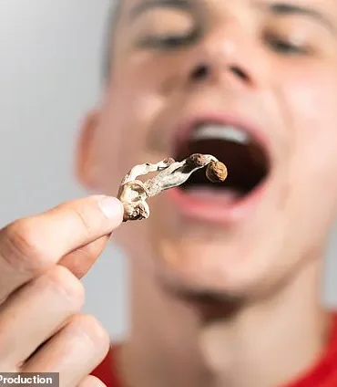 Microdosing Mushrooms Linked to Surge in Dangerous Reactions as Regulatory Oversight Lags