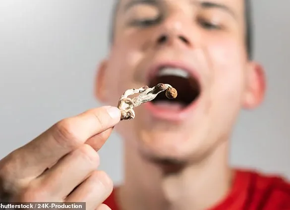 Microdosing Mushrooms Linked to Surge in Dangerous Reactions as Regulatory Oversight Lags