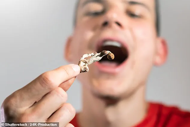 Microdosing Mushrooms Linked to Surge in Dangerous Reactions as Regulatory Oversight Lags