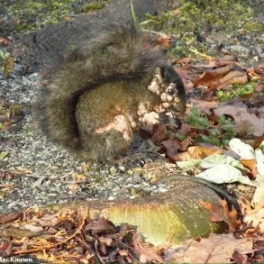 Mutated Wildlife Outbreaks Fuel Public Demand for Stricter Health Regulations