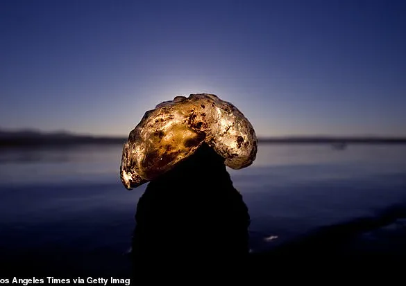 Mystery Blobs and Eerie Gelatinous Growth: Urgent Alert as Unidentified Organisms Spread Across US Freshwater