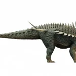 Newly Discovered Cretaceous Dinosaur Spicomellus Had Unusual Spikes and Plates, Defying Conventional Understanding of Armored Dinosaurs