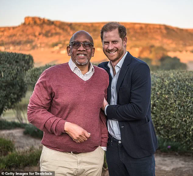 Prince Harry's Departure from Sentebale Reignites Debate on Celebrity Philanthropy and Governance