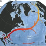 Privileged Insights: The Hidden Threat of a Collapsing Ocean Current