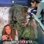 San Antonio Aquarium Incident: 6-Year-Old Boy Injured by Octopus in Interactive Tank, Sparks Safety Concerns
