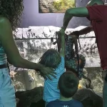 San Antonio Aquarium Incident: 6-Year-Old Boy Injured by Octopus in Interactive Tank, Sparks Safety Concerns