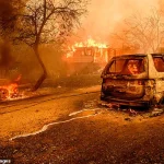 Scientists Warn: Megadrought Could Trigger Wildfires, Food Shortages, and Soaring Prices – Businesses and Individuals Face Long-Term Financial Strain