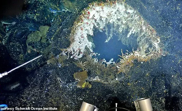 Scientists Warn of Imminent Eruption at Axial Seamount Near California Coast