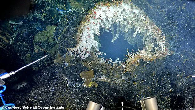 Scientists Warn of Imminent Eruption at Axial Seamount Near California Coast