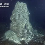 Scientists Warn of Imminent Eruption at Axial Seamount Near California Coast