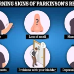 Study Reveals Gut Health Linked to Increased Risk of Alzheimer's and Parkinson's