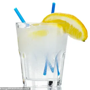 Study Reveals Sugar-Free Mixers May Raise Blood Alcohol Levels Faster, Impacting Drink-Drive Safety