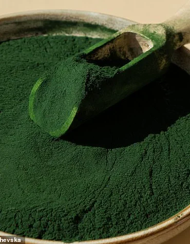 Study Suggests Edible Algae May Offer Natural Approach to Managing Hypertension