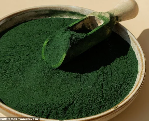 Study Suggests Edible Algae May Offer Natural Approach to Managing Hypertension