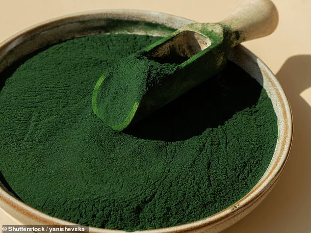 Study Suggests Edible Algae May Offer Natural Approach to Managing Hypertension